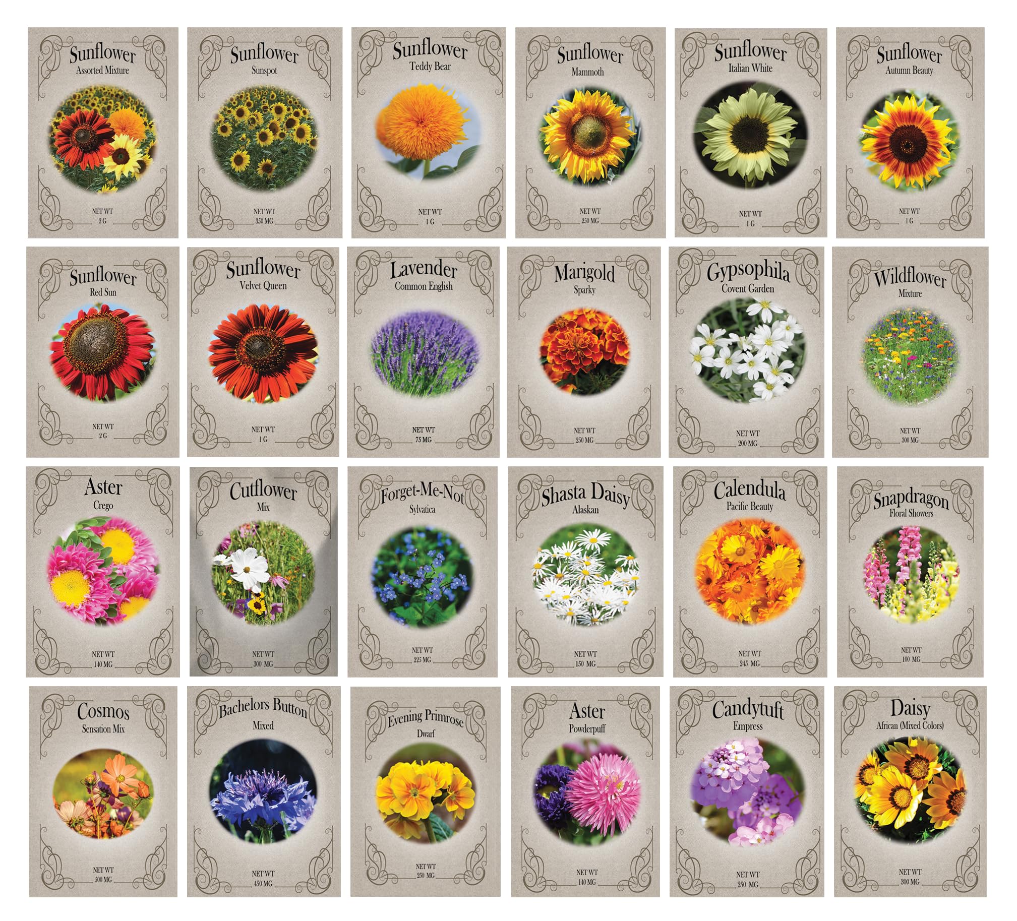 Amazon.com : Bright Bloom Garden Flower Seed Set – 24 Varieties